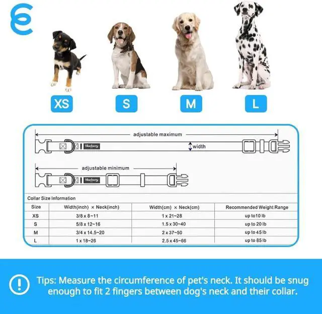 Alt view image 4 of 7 - Blueberry Pet Essentials Medium Dog Collar in Flint Gray | Adjustable & Eco-Friendly Durable Nylon Strap | Classic Collar for Medium Dogs, Boy & Girl Pets