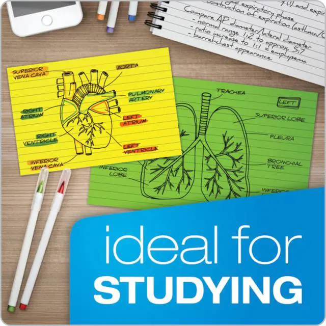 Alt view image 6 of 7 - Oxford Neon Index Cards, 3" x 5", Ruled, Assorted Colors, 300 Per Pack (81300EE)