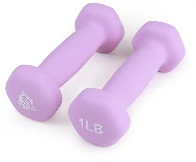 Main image of LIONSCOOL Neoprene Coated Dumbbell Weights (Lavender 1lb Pair)