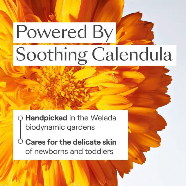 Alt view image 4 of 7 - Weleda Baby Calendula Diaper Cream, 2.8 Fluid Ounce, Plant Rich Protection with Calendula, Chamomile, Sweet Almond Oil, Lanolin and Zinc Oxide