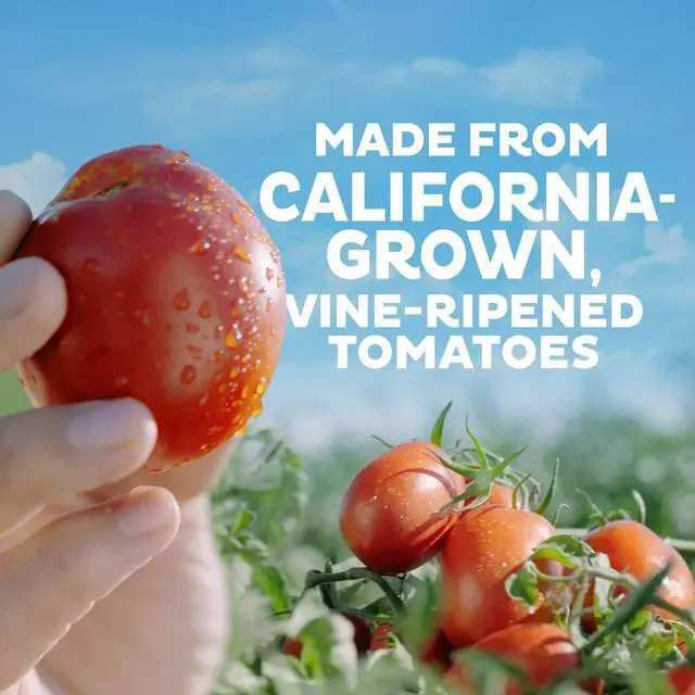 Alt view image 3 of 5 - Tomato Ketchup, 20 oz