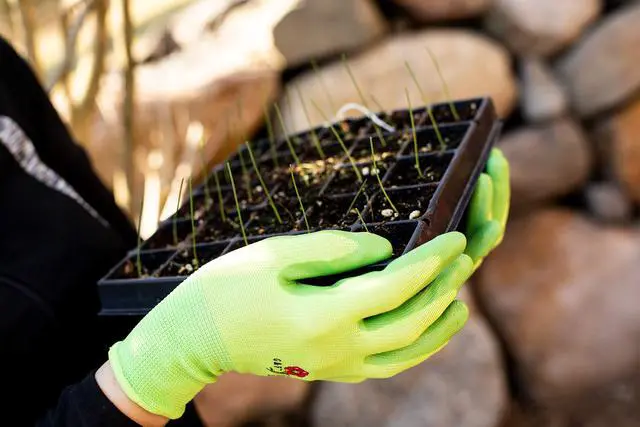 Alt view image 6 of 6 - 6 Pairs Women Gardening Gloves with Micro-Foam Coating - Garden Gloves Texture Grip - Working Gloves For Weeding, Digging, Raking and Pruning, Medium, Assorted color