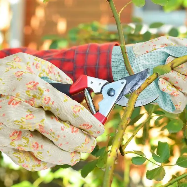 Alt view image 7 of 7 - Ainiv Floral Gardening Gloves for Women/Ladies, 2 Pairs Non-Slip Grip Garden Work Gloves, Comfortable Thorn Proof Garden Gloves for Farm, Yard, Pruning, Outdoor Multi-Purpose(Universal Size)
