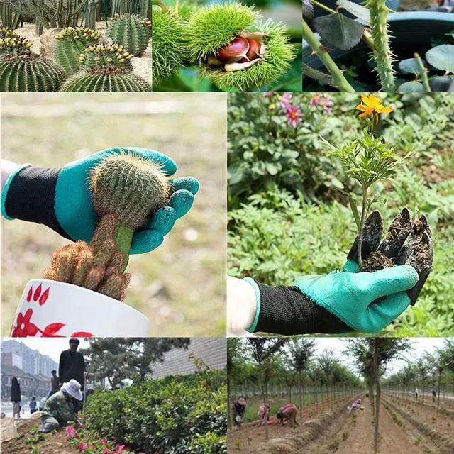 Alt view image 6 of 6 - DCCPAA Garden Gloves with Claws 2 PairsTwo Hands with Claws for Digging, Planting, Weeding, Seeding-Waterproof, Best Gardening Gifts for Men and Women-Purple+Green