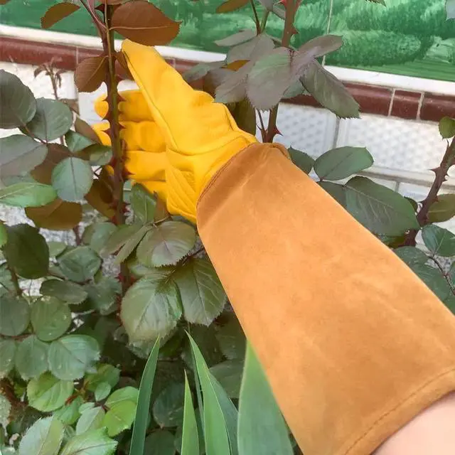 Alt view image 5 of 7 - Lusaya Rose Pruning Gloves for Women/MenLong gardening Gloves, Owhide Anti-stab Garden Gloves, in pruning Roses/Gardening/Logging/Farm/Cactus