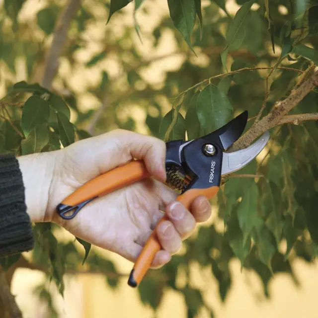 Alt view image 3 of 7 - Fiskars SoftGrip Bypass Pruning Shears, 5/8 Cut Capacity Garden Clippers