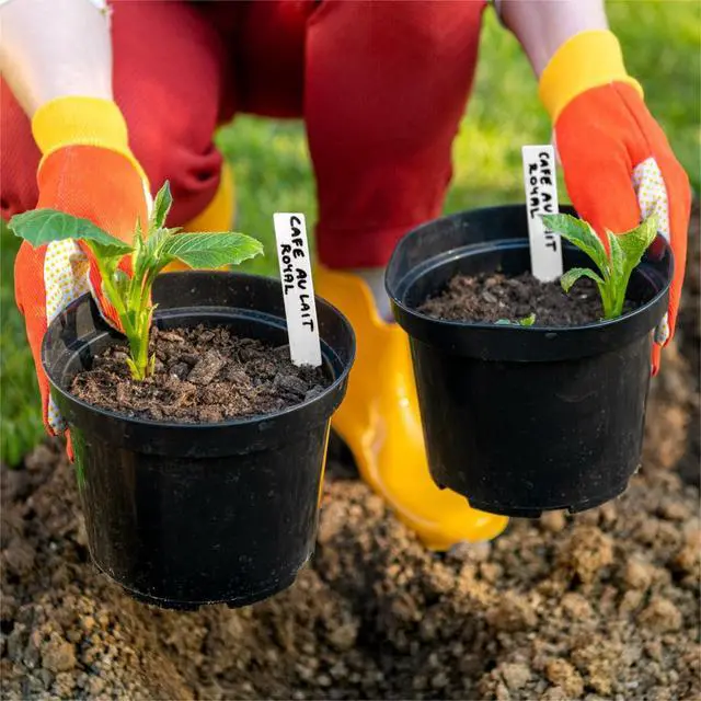 Alt view image 6 of 7 - Dalzom® 300Pcs 4" Plant Labels with Marker Pen, Waterproof Plastic Plant Tags for Outdoor Seedlings Vegetable Garden Signs Markers Label Stakes (White)