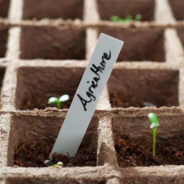 Alt view image 7 of 7 - Dalzom® 300Pcs 4" Plant Labels with Marker Pen, Waterproof Plastic Plant Tags for Outdoor Seedlings Vegetable Garden Signs Markers Label Stakes (White)