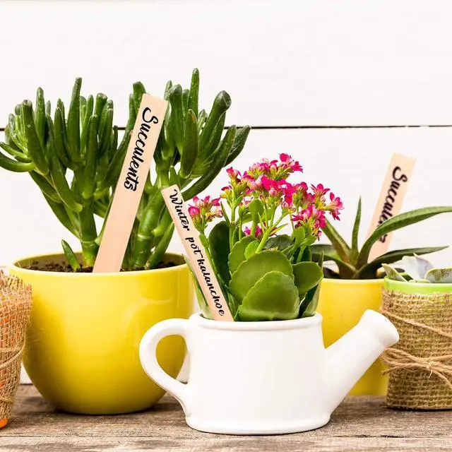 Alt view image 5 of 7 - Whaline 50Pcs Wooden Plant Labels with A Marker Pen Waterproof Pointed Wooden Plant Sign Tags Garden Markers for Outdoor Indoor Garden Seed Potted Herbs Flowers Vegetables (15 x 2 cm)