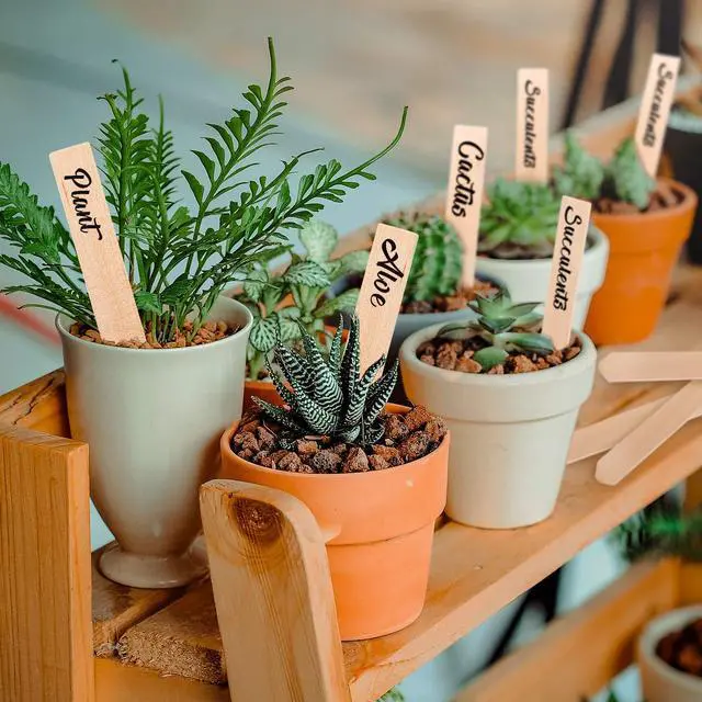 Alt view image 7 of 7 - Whaline 50Pcs Wooden Plant Labels with A Marker Pen Waterproof Pointed Wooden Plant Sign Tags Garden Markers for Outdoor Indoor Garden Seed Potted Herbs Flowers Vegetables (15 x 2 cm)