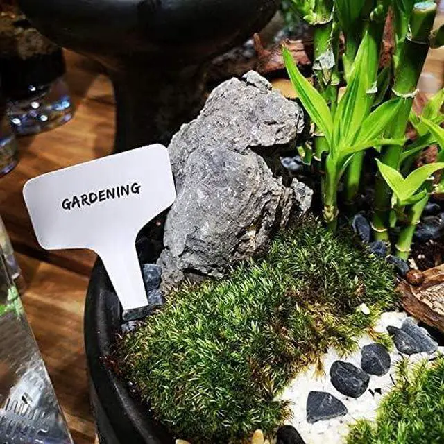 Alt view image 5 of 6 - KINGLAKE 100 Pcs 6 x10cm Plastic Plant T-Type Tags Nursery Garden Labels