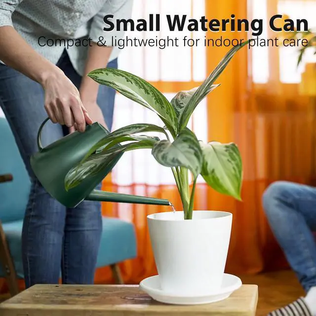 Alt view image 3 of 7 - 60 oz Watering Can, Small Watering Can for Indoor Plants with Long Spout