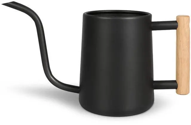 Main image of Watering Can for Indoor Plants, 35 oz/1000 ml Metal Stainless Steel Pot with Long Spout for House Plants Bonsai Outdoor Garden Flower Decorative (Black)