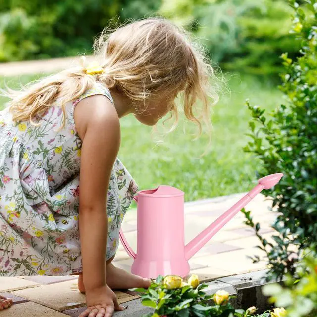 Alt view image 5 of 7 - XXXFLOWER 1/2 Gallon Small Indoor Plant Watering Can, 2L Long Spout Removable Nozzle Flower Watering Pot for Office House Indoor GardenPink,67 oz
