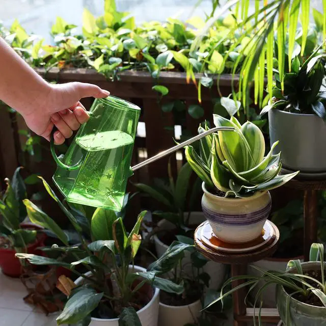 Alt view image 5 of 7 - Goowin Watering Can Indoor Plants, 47 oz Long Spout House Plant Flower Watering Can, Creative Wide Opening Plastic Watering Can with 16 oz Spray Bottle & 8.5 oz Squeeze Bottle, Green