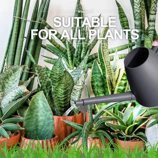 Alt view image 5 of 7 - Indoor Plant Watering Can Long Spout for House Plants 2L/67oz Gray