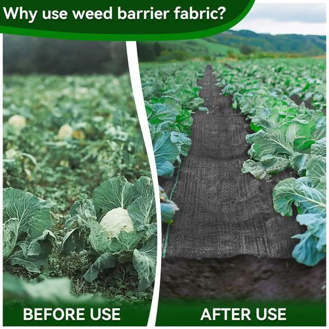 Alt view image 3 of 7 - RAINFLOW Weed Barrier Fabric - Heavy Duty Landscape Fabric, 3.2 x 16.4 ft