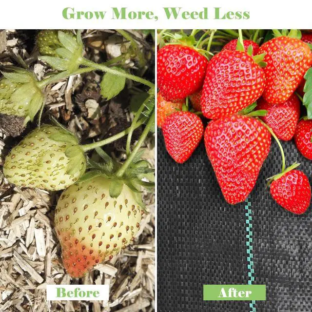 Alt view image 6 of 7 - FEED GARDEN 3FT x 50FT Landscape Fabric Weed Barrier Fabric, Heavy Duty Weed Control Mat, Weed Blocker Ground Cover Geotextile Fabric for Gardening