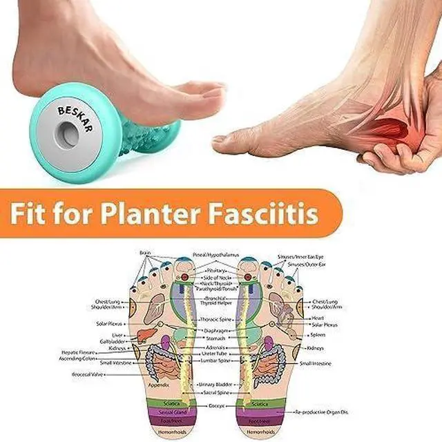 Alt view image 3 of 7 - Foot Massage Roller for Plantar Fasciitis Relief, Portable Deep Tissue Muscle Massage, Arch and Heel Pain Relief, Trigger Point Therapy Reflexology Tool