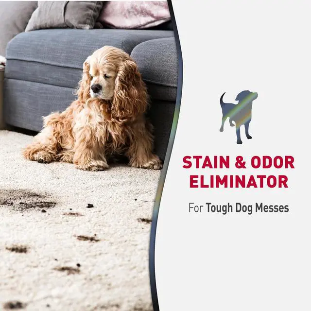 Alt view image 2 of 7 - Advanced Stain and Odor Eliminator Dog Spray, Fresh Scent, Severe Mess Enzymatic Formula For Tough Pet Messes, 32 oz