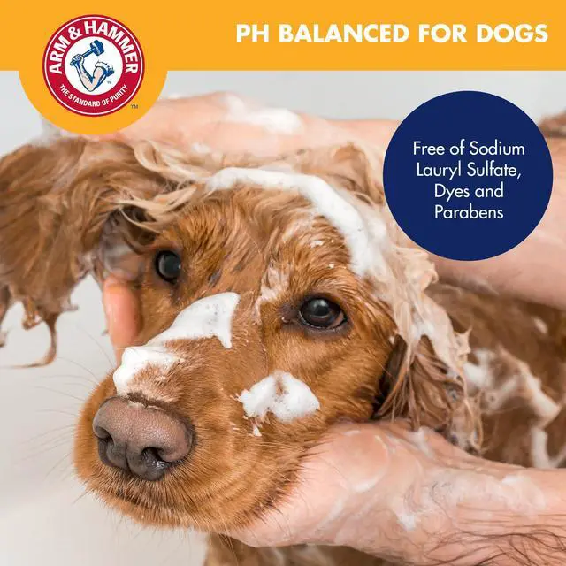 Alt view image 5 of 7 - Odor Control Pet Grooming Gift Set, Includes Dog Shampoo 8 Fl Oz and Dog Bath Spray 8 Fl Oz, Cashmere Vanilla Scent, pH Balanced, Paraben and Sulfate Free