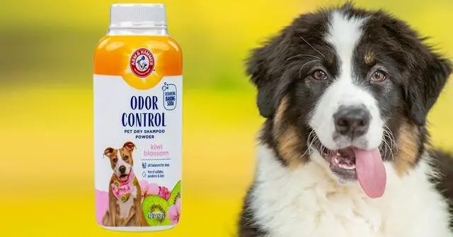 Alt view image 5 of 7 - for Pets Odor Control Dry Shampoo Powder for Dogs and Puppies Waterless Dog Deodorizer Baking Soda Paraben Sulfate Dye Free Kiwi Blossom Scent 4.2 OZ at Home Travel Routine