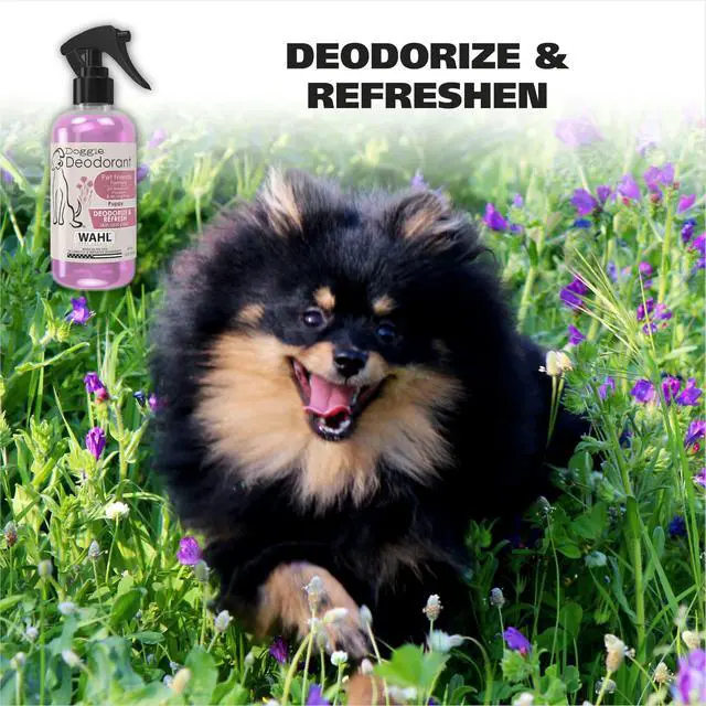 Alt view image 2 of 7 - USA Cornflower Scented Pet Deodorant Spray for All Dogs & Cats Clean Fresh Smell Refreshes & Deodorizes 8 oz - Model 820009A