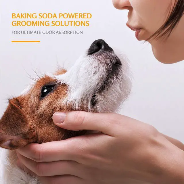 Alt view image 3 of 4 - for Pets Soothing Oatmeal Dog Shampoo, Vanilla Coconut Scent, Baking Soda Odor Control, Moisturizing Shampoo for Dry Dog Skin, pH Balanced for Dogs, 20 Fl Oz