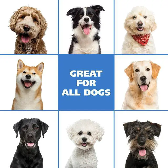Alt view image 7 of 7 - USA Pet Friendly Waterless No Rinse Shampoo for Animals - Coconut Lime Verbena Scent Oatmeal Formula Cleans, Conditions, Detangles & Moisturizes Dogs Fur 7.1 Oz - Model 820015A