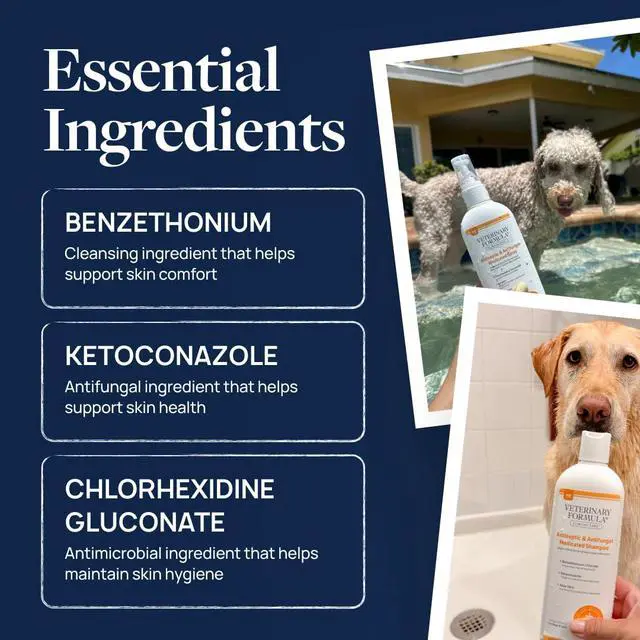 Alt view image 4 of 7 - Clinical Care Antiseptic and Antifungal Medicated Spray for Dogs & Cats, 8 Fl Oz (1 Pack)