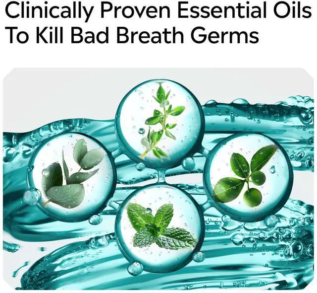Alt view image 7 of 7 - Cool Mint Intense Antiseptic Mouthwash, Daily Oral Rinse Kills 99.9% of Germs that Cause Bad Breath, Plaque and Gingivitis. for a Fresh, Clean Mouth, Intense Mint Flavor, 250 mL/ 8.5 Fl.Oz.