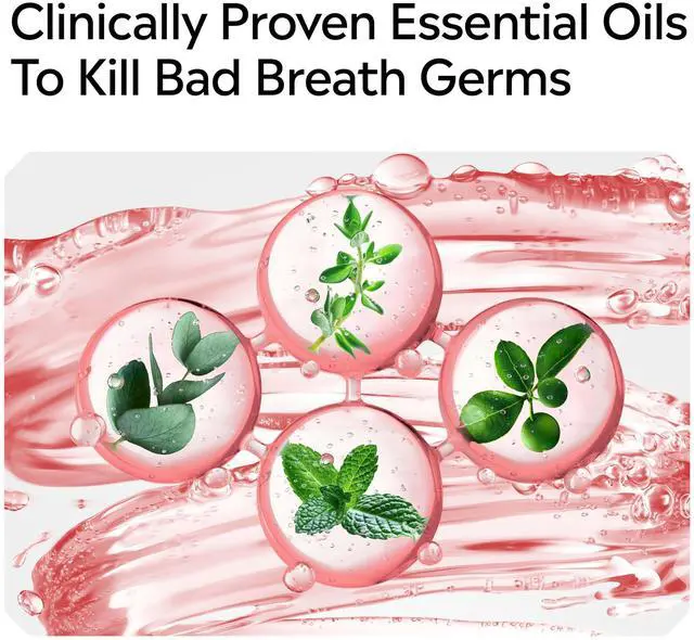 Alt view image 7 of 7 - Clinical Solutions Mouthwash Gum Health Antiseptic, Antigingivitis and Antiplaque Oral Rinse Helps Prevent Buildup and Immediately Kills Germs for Healthier Gums, ICY Mint, 500 mL