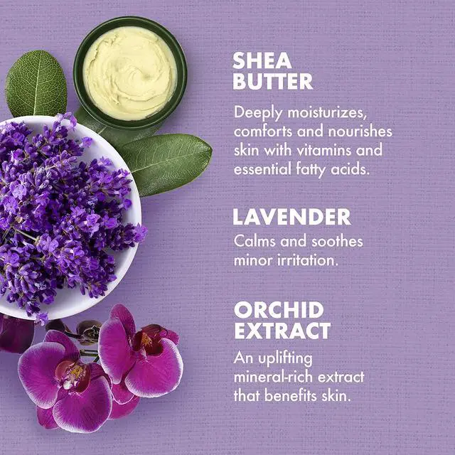 Alt view image 3 of 6 - Bath, Body and Massage Oil Lavender Wild Orchid Calming Moisturizer for Sensitive Skin 8 oz