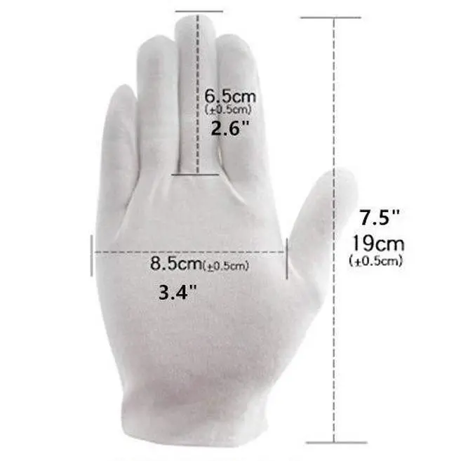 Alt view image 3 of 6 - 8 Pairs White Cotton Gloves 7.5" Medium Size, film, coins, CD/DVD, Handling Gloves