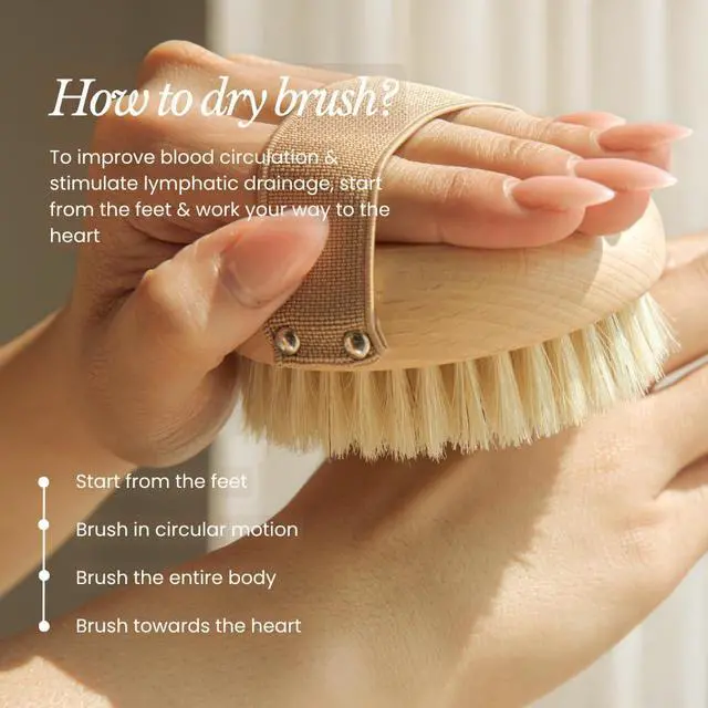 Alt view image 6 of 7 - Dry Body Brush for Lymphatic Drainage - Improve Circulation w/Gentle Exfoliation for Soft Skin - Ergonomically Designed w/Elastic Strap - Soft but Firm Natural Boar Bristles