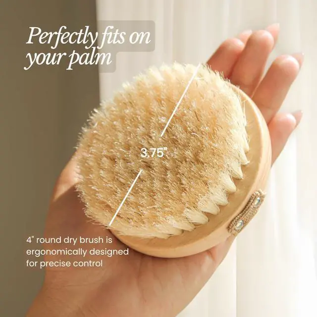 Alt view image 5 of 7 - Dry Body Brush for Lymphatic Drainage - Improve Circulation w/Gentle Exfoliation for Soft Skin - Ergonomically Designed w/Elastic Strap - Soft but Firm Natural Boar Bristles