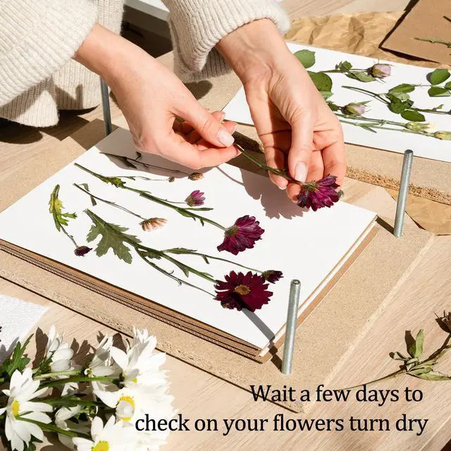 Alt view image 5 of 7 - Blotting Paper for Flower Press, 20 Sheets Large A4 Highly Absorbent and Reusable Blotter Paper for Flower Press Paper Craft 8.26 x 11.4 inch