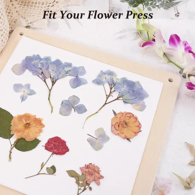 Alt view image 5 of 6 - 26 Sheets Blotting Paper for Flower Press, 9 x 9 inch Highly Absorbent and Reusable Blotter Papers for Flower Pressing, Flower Press Paper Sheets