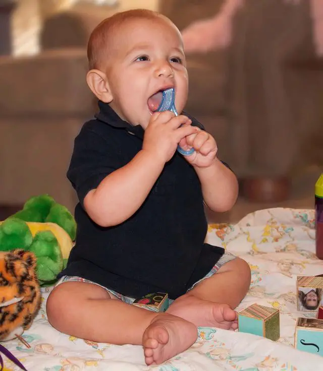 Alt view image 7 of 7 - Oral Care Babys First Toothbrush, Smooth Silicone Bristles Gently Clean Tender Teeth and Gums, for Ages 4+ Months, Clear, 1 Pack