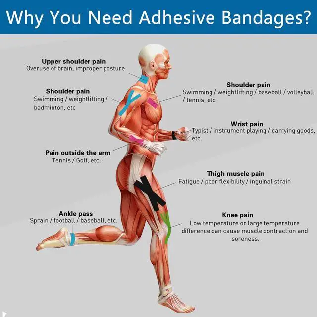 Alt view image 6 of 7 - Self Adhesive Wrap Cohesive Wrap Bandages 6 Count 3" x 5 Yards, Medical Tape, Adhesive Flexible Breathable First Aid Non Woven Rolls, Stretch Athletic, Ankle Sprains & Swelling, Sport