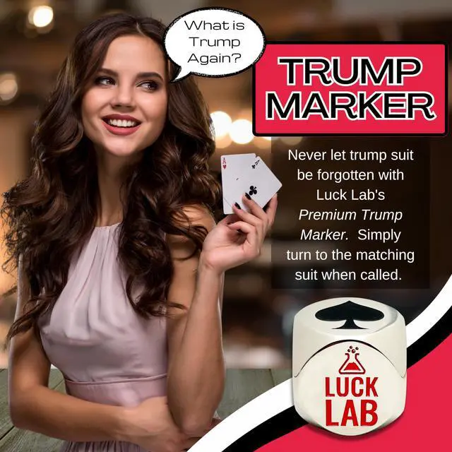 Alt view image 3 of 7 - Premium Euchre Trump Marker, Silver
