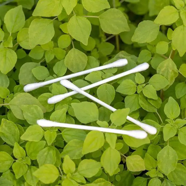 Alt view image 7 of 7 - - Organic Cotton Swabs, Ultra Soft Tips - Strong & Durable - Hypoallergenic - Chlorine Free - Sustainable - Natural, Vegan & Cruelty Free - Skin Care & Self Care w ebook