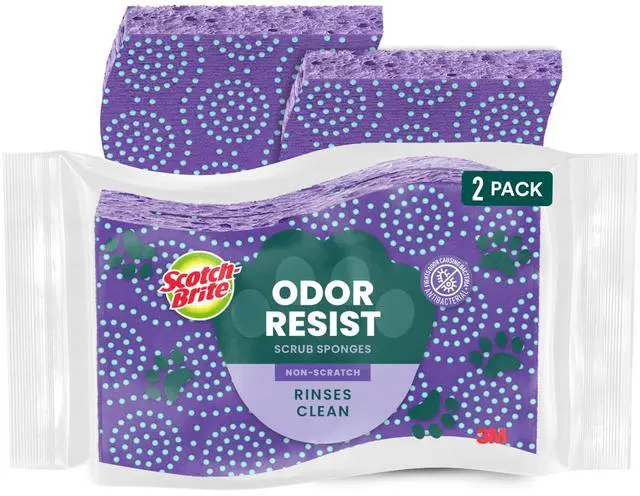 Main image of Odor Resist 2 Pack sponges