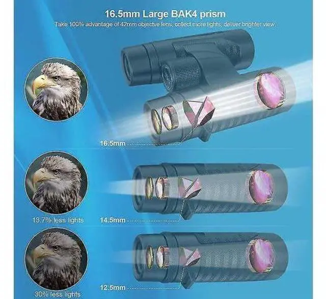 Alt view image 5 of 5 - Ecocleanpath Adasion 12x42 Waterproof Binoculars with Phone Adapter, 560g Lightweight for Bird Watching & Hunting