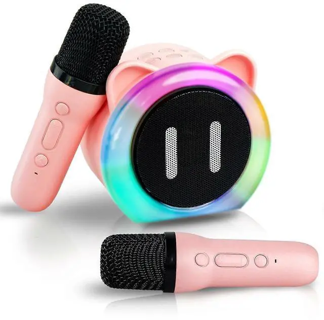 Main image of Ecocleanpath Portable Bluetooth Karaoke Machine with 2 Mics & Lights | Kids & Adults Singing Toy Speaker (Pink)