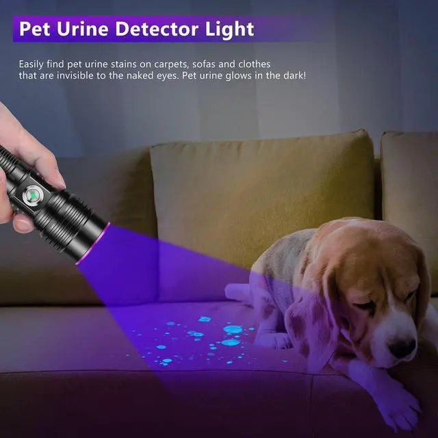 Alt view image 11 of 14 - WINDFIRE UV Flashlight Rechargeable, 365nm Blacklight Flashlights Powerful, Black Light for Pet Urine Detection, Scorpions, Resin Curing, Rocks, Blood Tracking, Uranium Glass