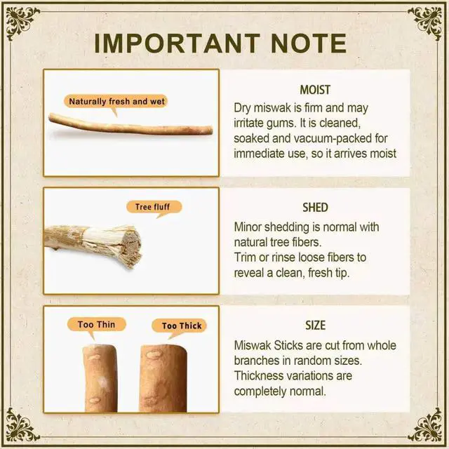 Alt view image 3 of 7 - Miswak Sticks for Teeth Pack of 2 - Vacuum Sealed Traditional Sewak Natural Miswak Toothbrush - for Healthy Teeths,Gums and Fresh Breath