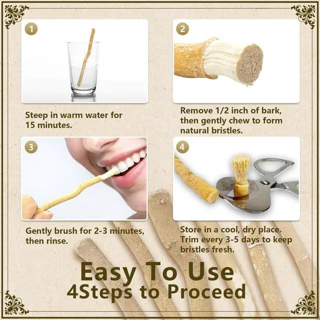 Alt view image 7 of 7 - Miswak Sticks for Teeth Pack of 2 - Vacuum Sealed Traditional Sewak Natural Miswak Toothbrush - for Healthy Teeths,Gums and Fresh Breath
