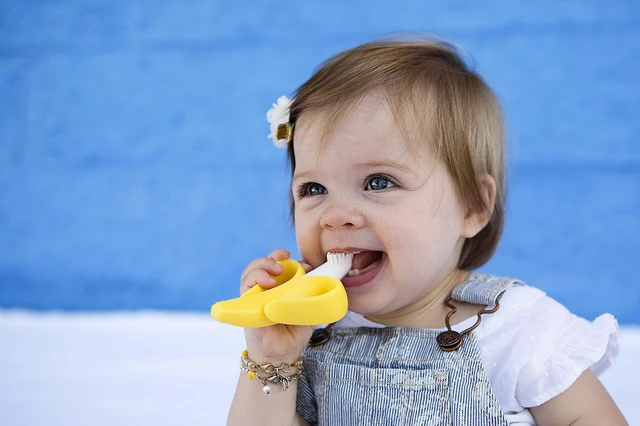 Alt view image 5 of 7 - The Original, Banana Brush, Made in USA, Toddler Toothbrush, Family-Owned Business