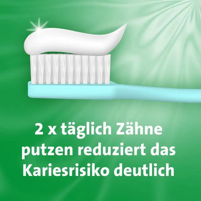 Alt view image 6 of 7 - Fresh Toothpaste 75 ml (2.53 fl oz) Long-Lasting Fresh Breath Toothpaste Antibacterial Oral Care with Menthol Daily Protection German Oral Care Brand